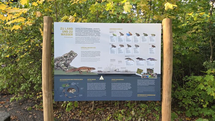 Amphibien-Schild_TierparkBerlin