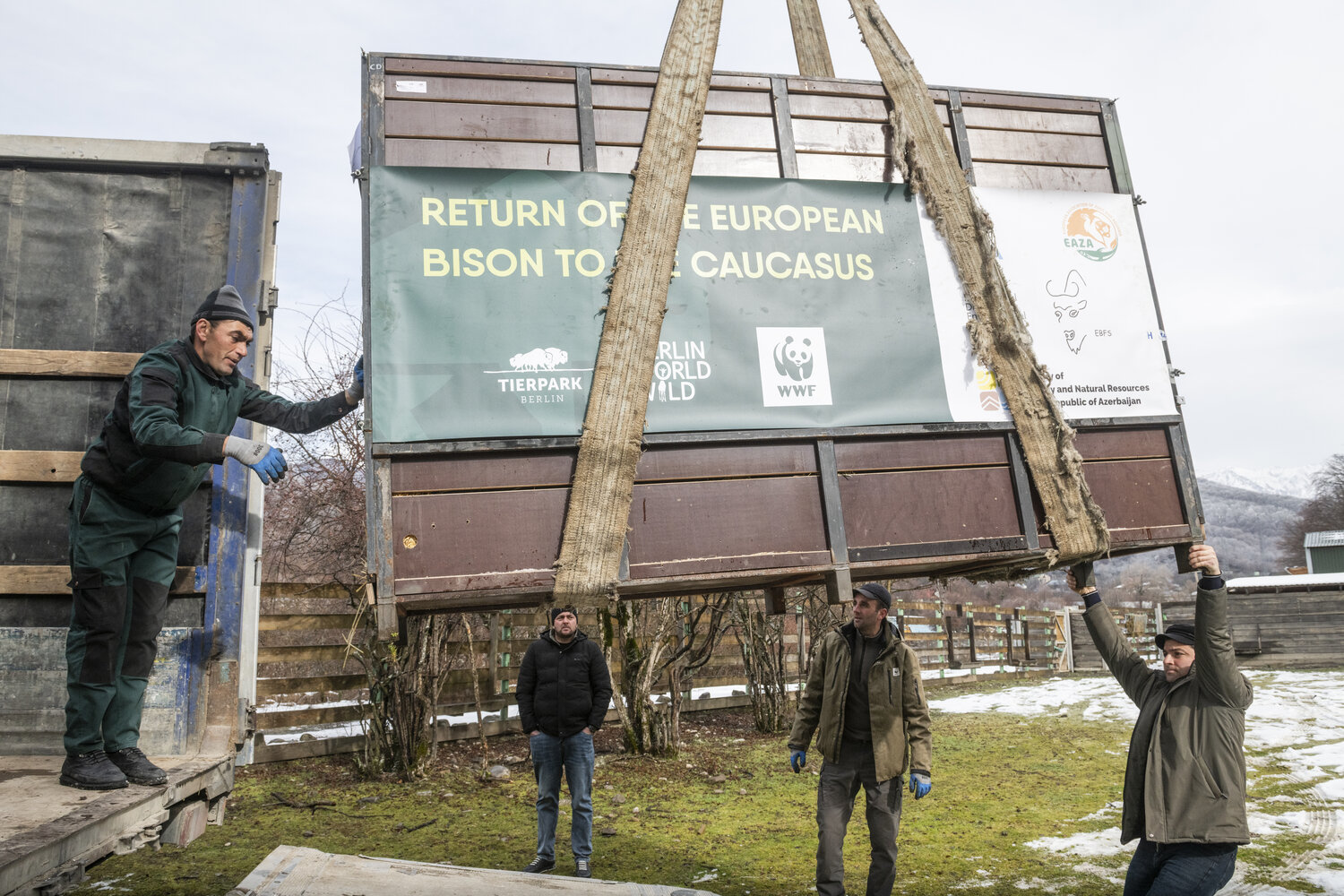 [Translate to English:] Wisente_ShadagNationalPark_(c)WWF_EmilKhalilov