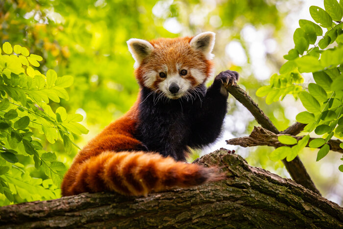 [Translate to English:] 