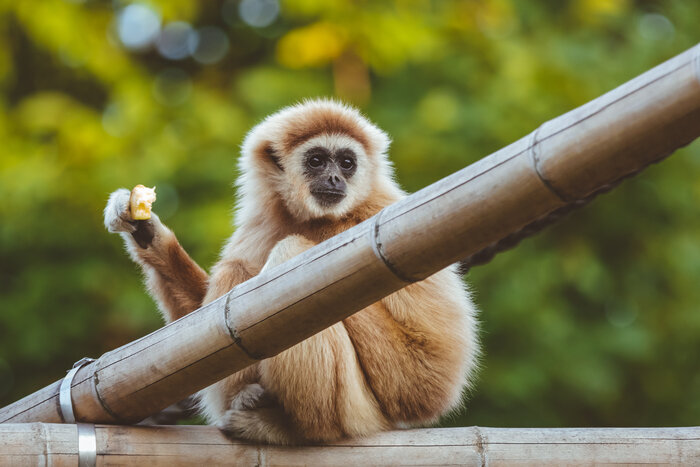 [Translate to English:] 