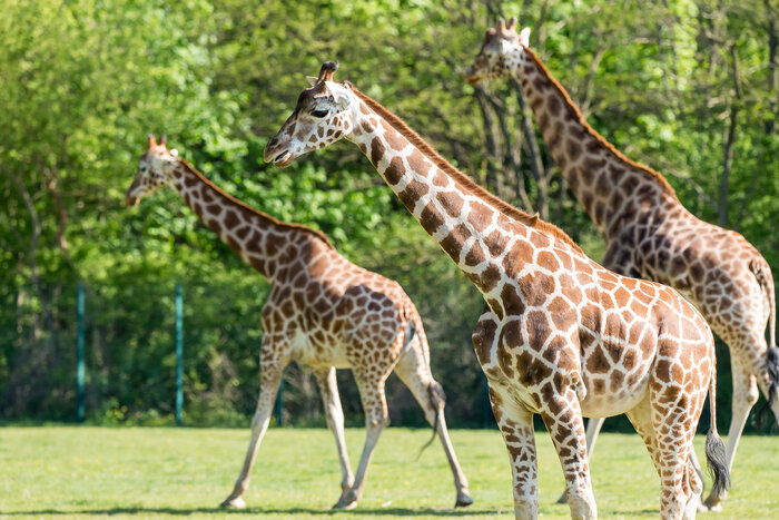 [Translate to English:] 