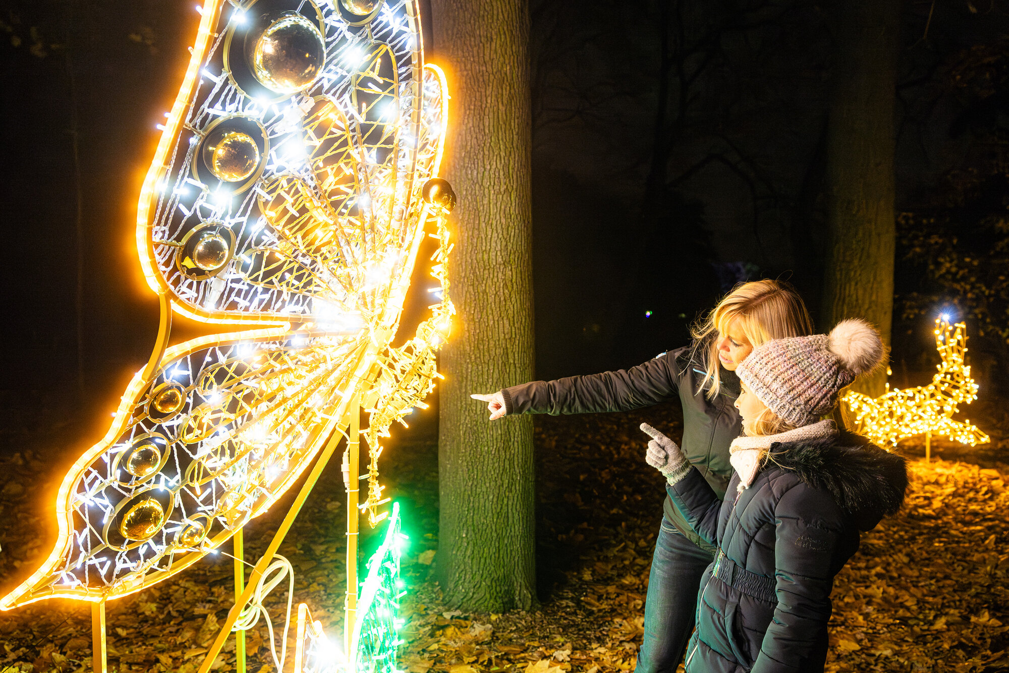Gerne, hier ist ein ausführlicher Artikel über "Weihnachten im Tierpark Berlin 2025" im Umfang von ca. 1200 Wörtern.