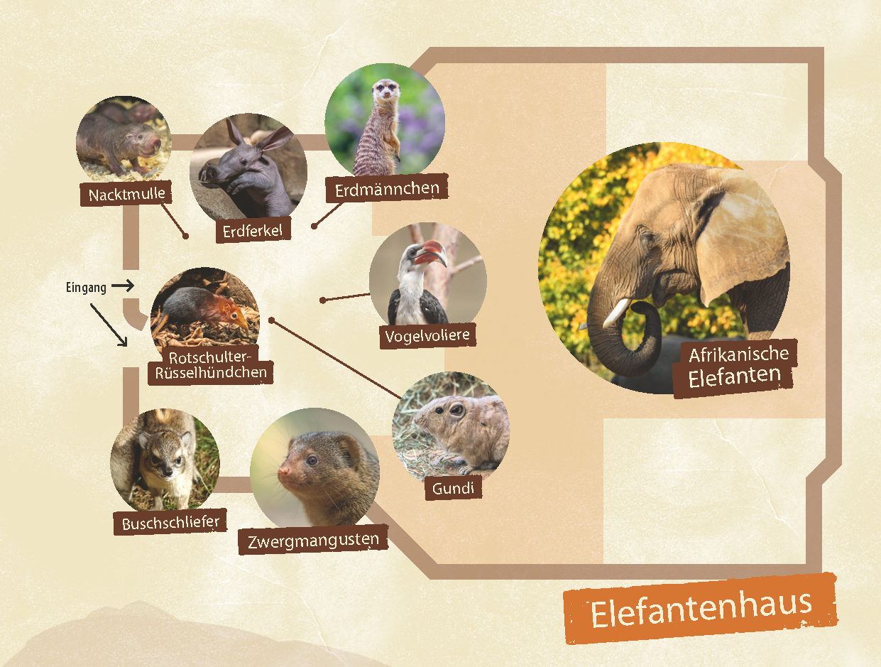 Tiere Elefantenhaus